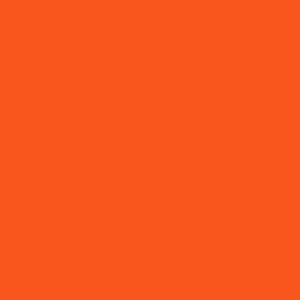 Evolution Gloss - Pure Orange 2004 - 400ml